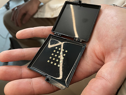 Schwarze Box mit 20 kleinen Mikrochips.