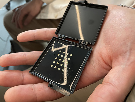 [Translate to Englisch:] Schwarze Box mit 20 kleinen Mikrochips.